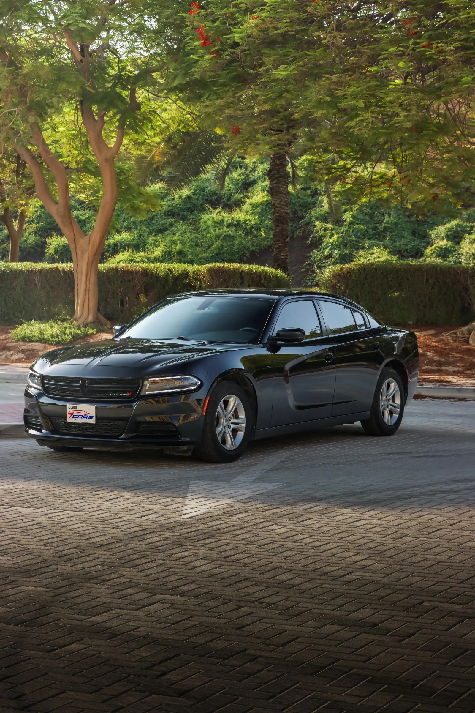 Dodge Charger 2022 for rent in Dubai