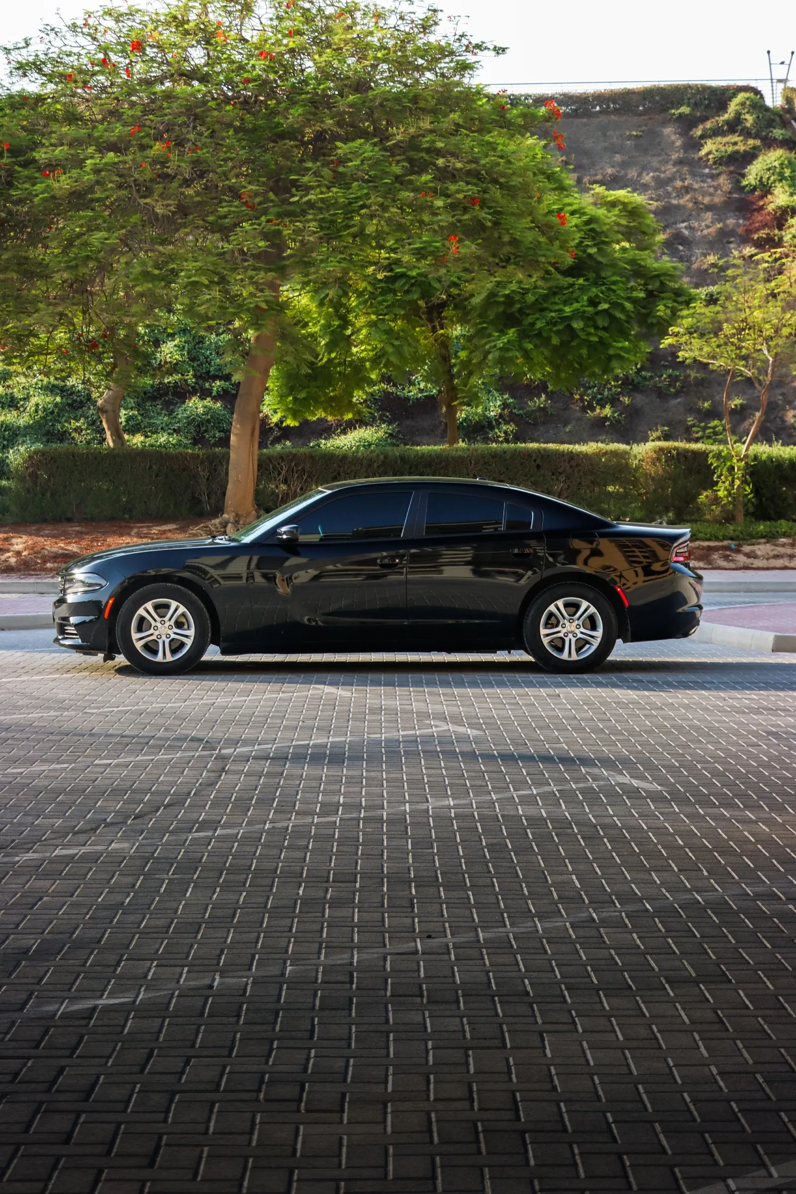 Dodge Charger 2022 for rent in Dubai – photo 5