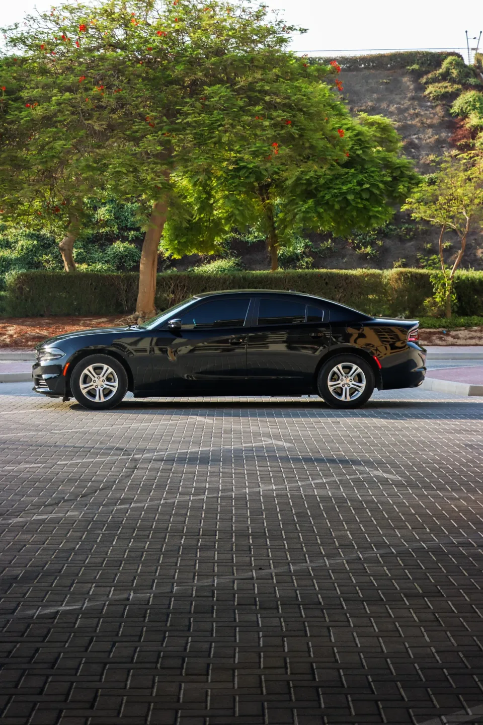 Dodge Charger 2022 for rent in Dubai – photo 5