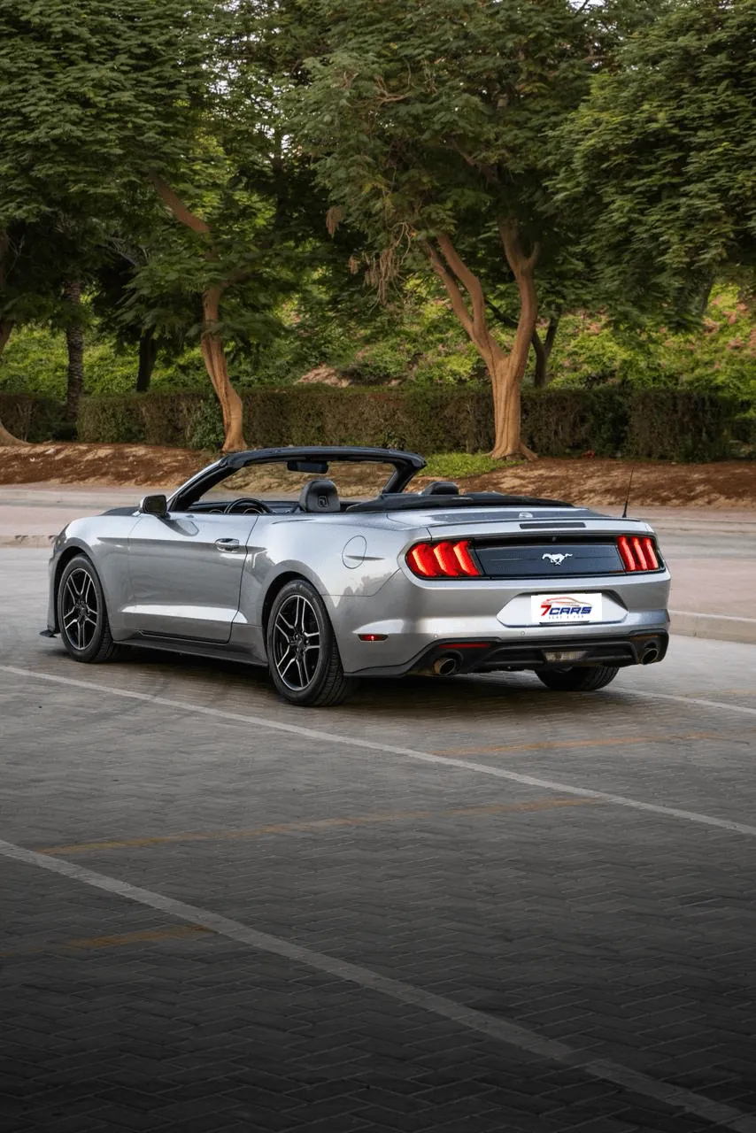 Ford Mustang 2024 Convertible for Rent – 2.3L Turbo Car | 7cars Rental