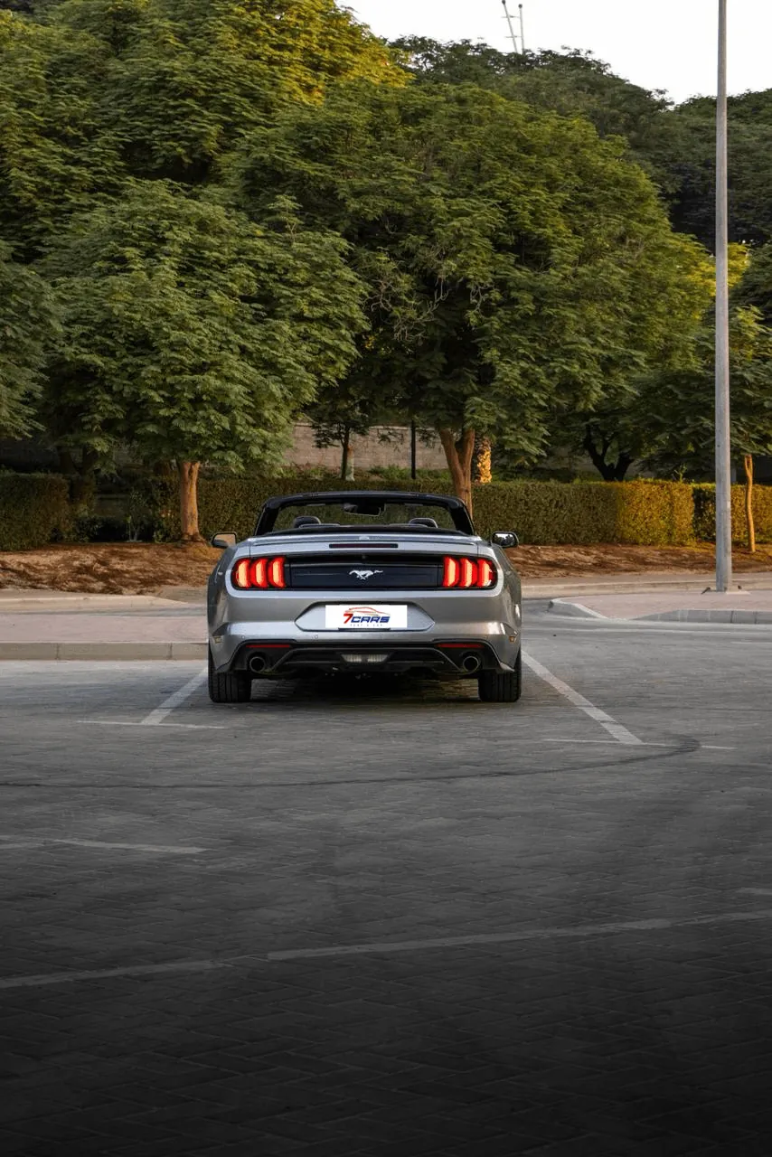 Ford Mustang 2024 Convertible for Rent – 2.3L Turbo Car | 7cars Rental